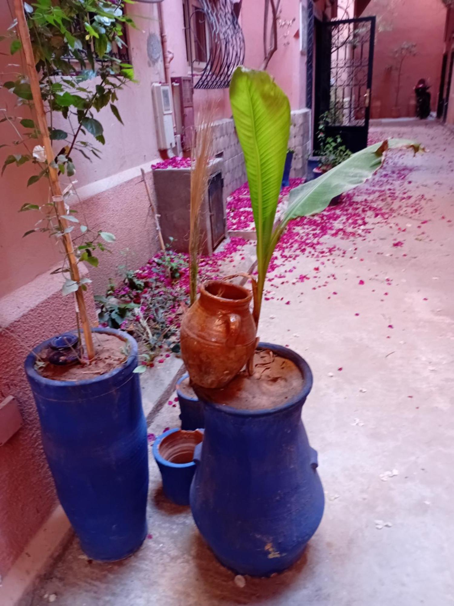 Riad Le Shams Marakéš Exteriér fotografie